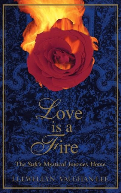 Love is a Fire, Llewellyn Vaughan-Lee