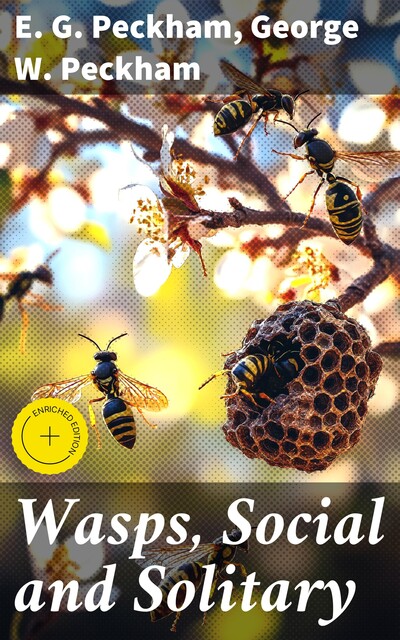 Wasps, Social and Solitary, E.G. Peckham, George W. Peckham