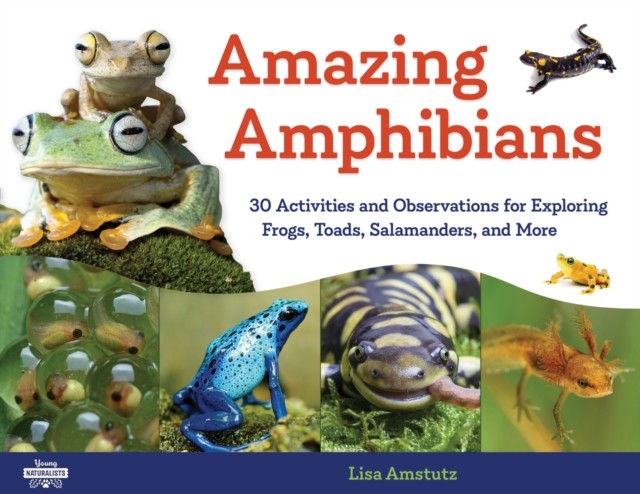 Amazing Amphibians, Lisa Amstutz