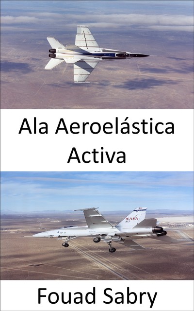 Ala Aeroelástica Activa, Fouad Sabry