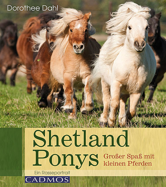 Shetlandponys, Dorothee Dahl