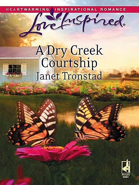A Dry Creek Courtship, Janet Tronstad