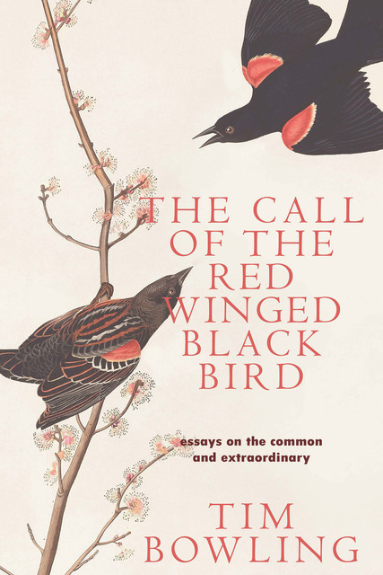 The Call of the Red-Winged Blackbird, Tim Bowling