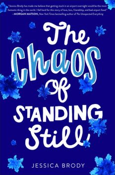 The Chaos of Standing Still, Jessica Brody