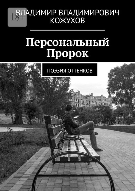 Персональный Пророк. Поэзия оттенков, Владимир Кожухов