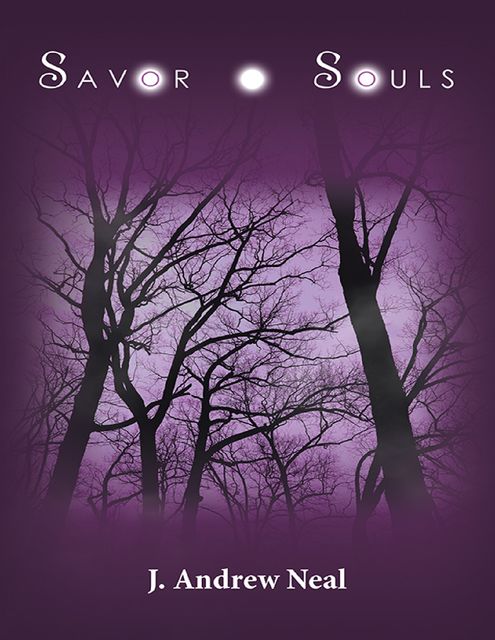 Savor Souls, J. Andrew Neal