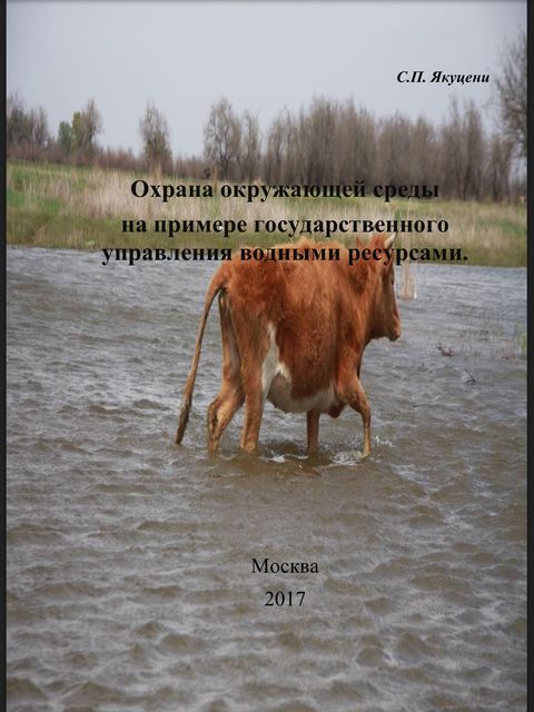 Охрана окружающей среды на примере государственного управления водными ресурсами, Сергей Якуцени