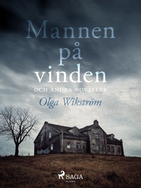 Mannen på vinden och andra noveller, Olga Wikström