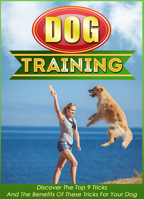 Dog Training Discover The Top 9 Tricks And The Benefits Of These Tricks For Your Dog, Old Natural Ways