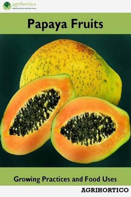 Papaya Fruits, Agrihortico CPL