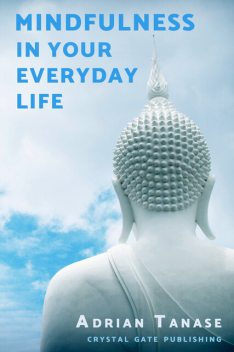 Mindfulness in Your Everyday Life, Adrian Tanase