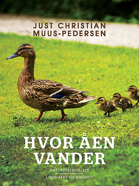 Hvor åen vander, Just Christian Muus Pedersen