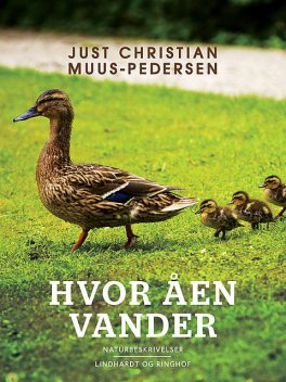 Hvor åen vander, Just Christian Muus Pedersen