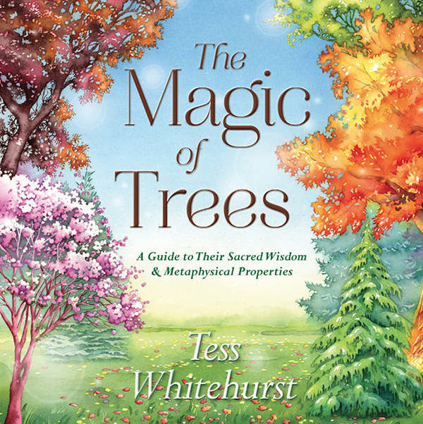 The Magic of Trees: A Guide to Their Sacred Wisdom & Metaphysical Properties, Tess Whitehurst