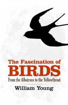 The Fascination of Birds, William Young