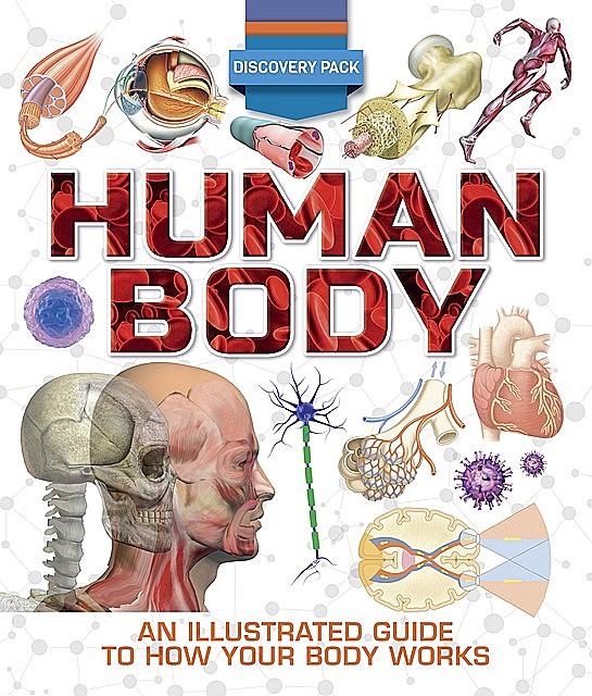 Discovery Pack: Human Body, Clare Hibbert