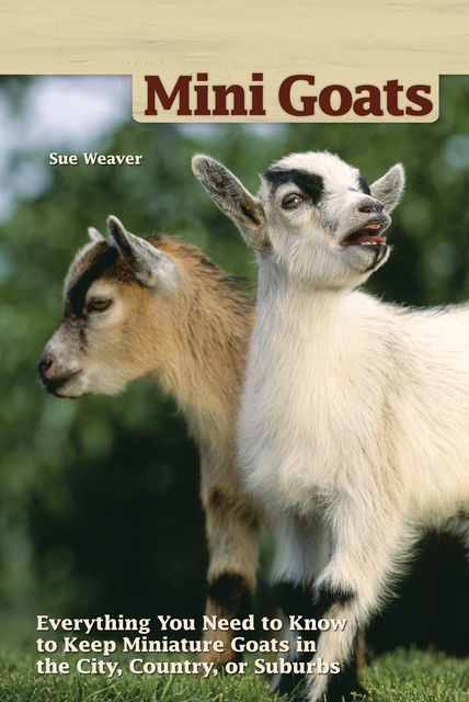 Mini-Goats, Sue Weaver