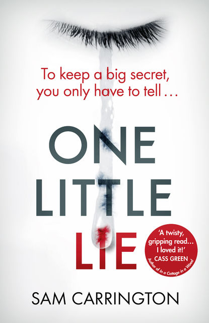 One Little Lie, Sam Carrington