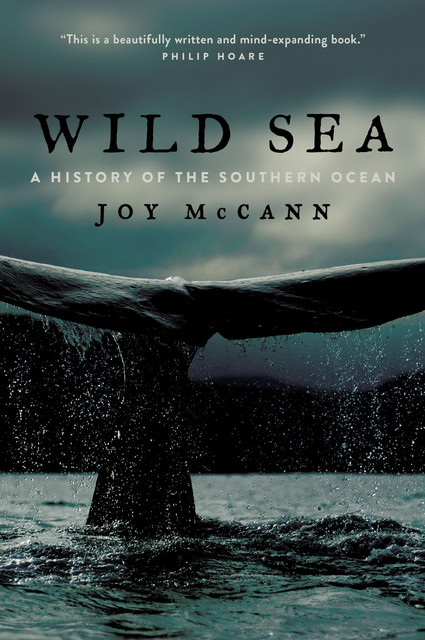 Wild Sea, Joy McCann