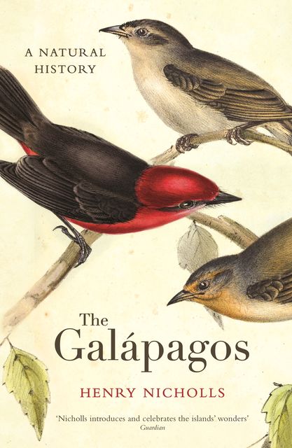 The Galapagos, Henry Nicholls