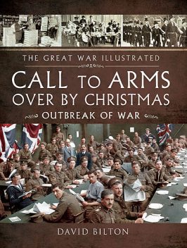 Call to Arms: Over By Christmas, David Bilton