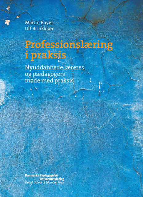 Professionslæring i praksis, Martin Bayer, Ulf Brinkkjær