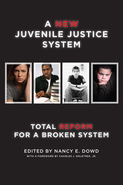 A New Juvenile Justice System, Nancy E.Dowd