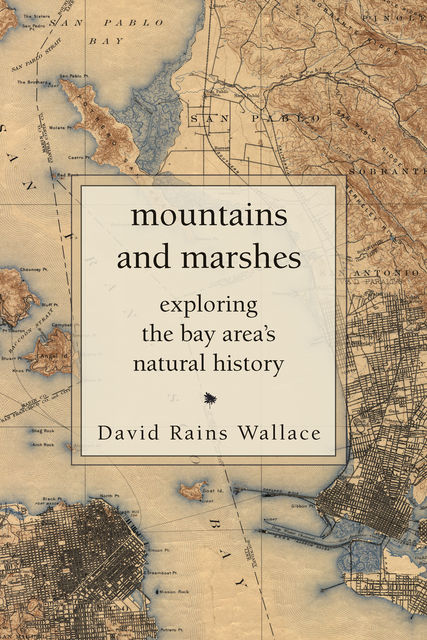 Mountains and Marshes, David Foster Wallace