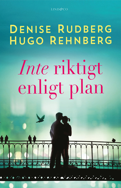 Inte riktigt enligt plan, Denise Rudberg, Hugo Rehnberg