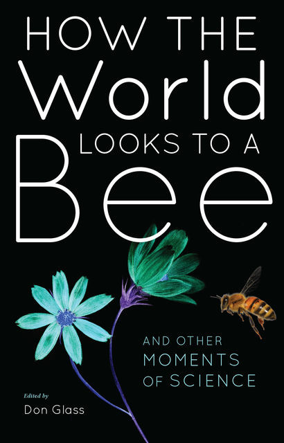 How the World Looks to a Bee, Don Glass