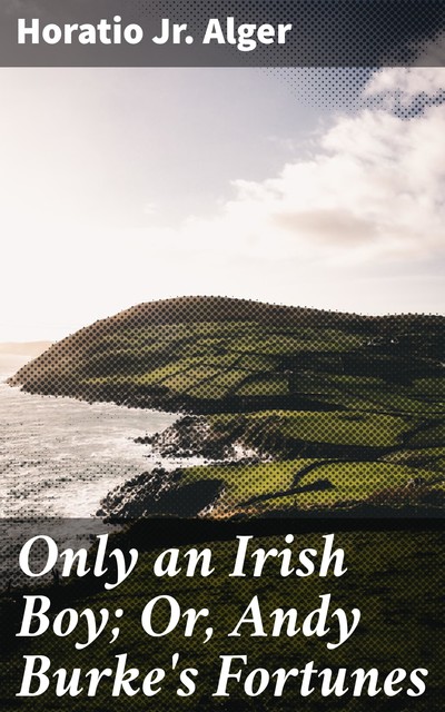 Only an Irish Boy; Or, Andy Burke's Fortunes, Horatio Alger