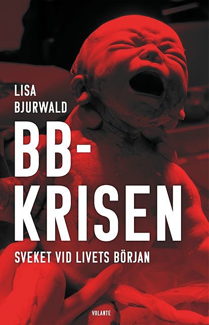 BB-krisen, Lisa Bjurwald