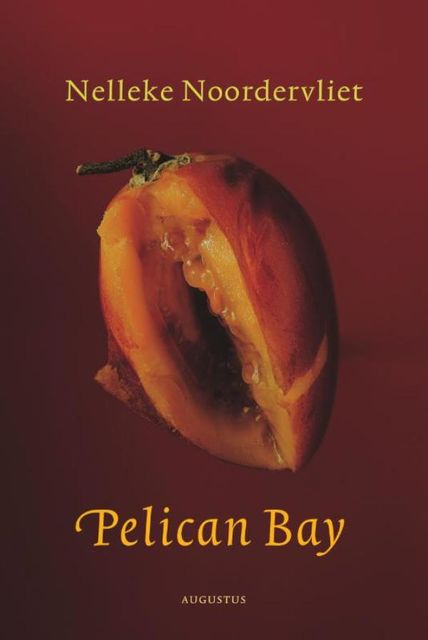 Pelican bay, Nelleke Noordervliet