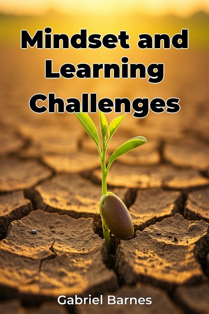 Mindset and Learning Challenges, Gabriel Barnes