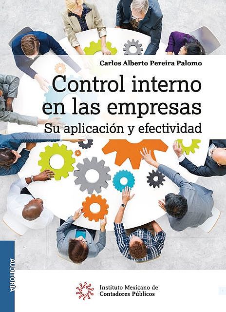 Control interno en las empresas, Carlos Alberto Pereira Palomo