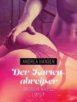 Der Kartenabreißer – Erotische Novelle, Andrea Hansen