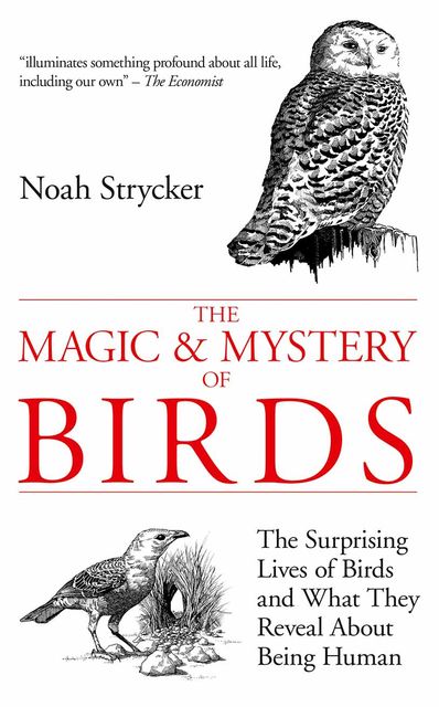 The Magic and Mystery of Birds, Noah Strycker