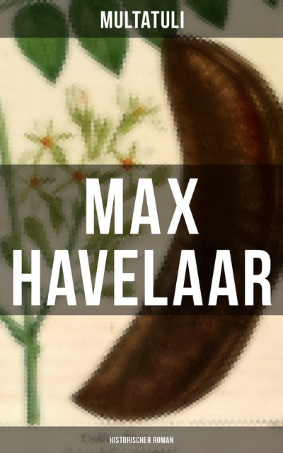 Max Havelaar (Historischer Roman), Multatuli