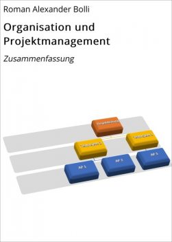 Organisation und Projektmanagement, Roman Alexander Bolli