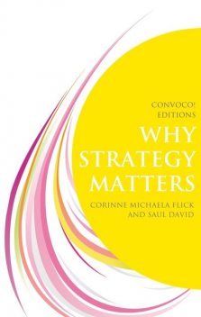 Why Strategy Matters, David Saul, Corinne Michaela Flick