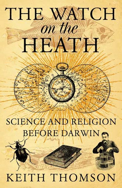 The Watch on the Heath: Science and Religion before Darwin (Text Only), Keith Thomson