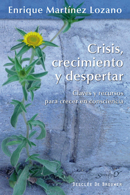 Crisis, crecimiento y despertar, Enrique Martínez Lozano
