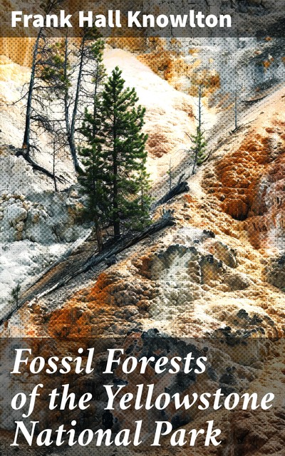 Fossil Forests of the Yellowstone National Park, Frank Hall Knowlton