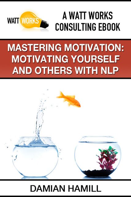 Mastering Motivation: Motivating Yourself and Others With NLP, Damian Hamill