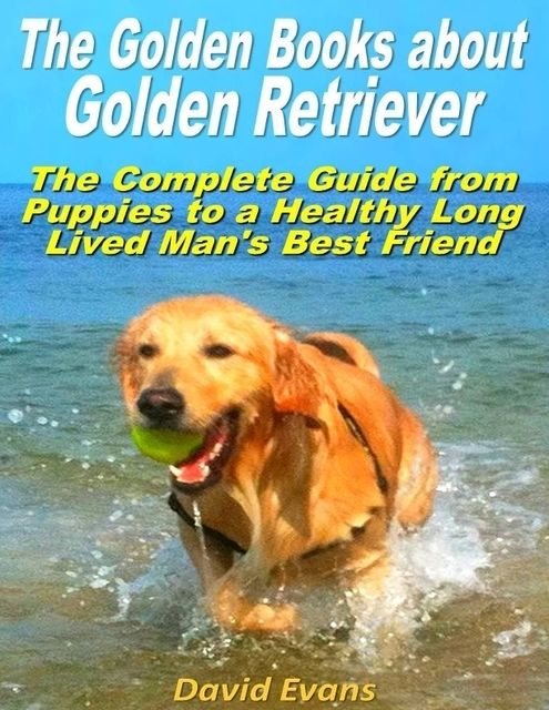 The Golden Books About Golden Retriever: The Complete Guide from Puppies to a Healthy Long Lived Men's Best Friend, David Evans
