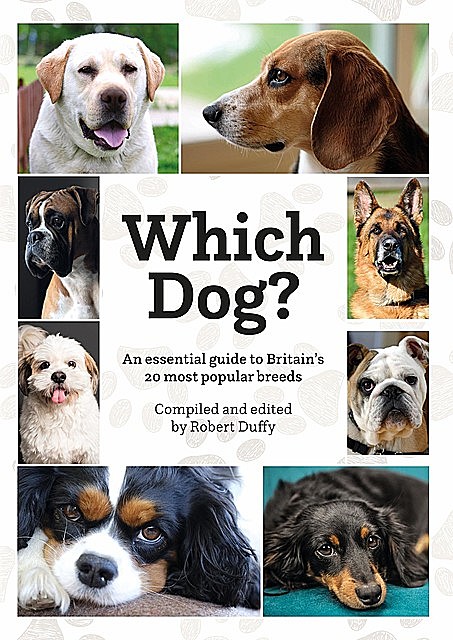 Which Dog, 