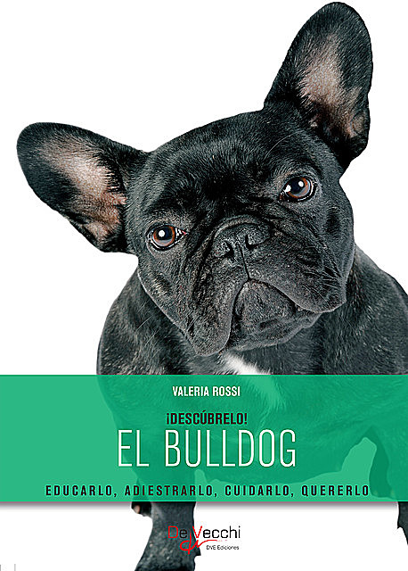 El bulldog, Valeria Rossi