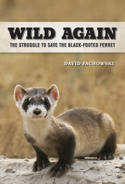 Wild Again, David S. Jachowski