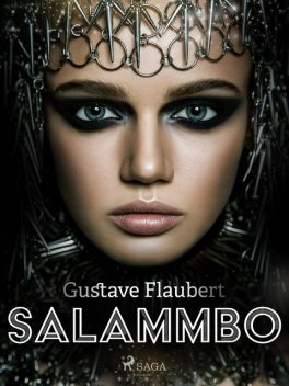 Salammbo: Historiallinen romaani, Gustave Flaubert