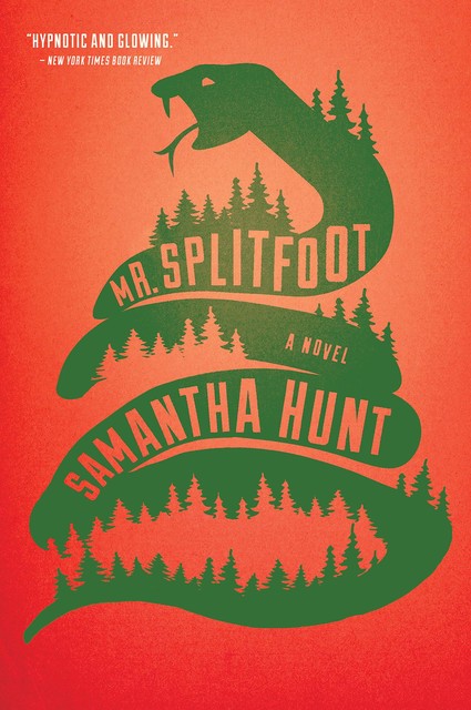 Mr. Splitfoot, Samantha Hunt